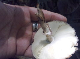 18012010051.jpg