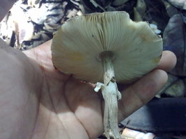 18012010052.jpg