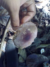18012010053.jpg