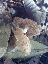 18012010055.jpg