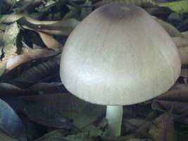 18012010060.jpg