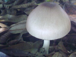 18012010061.jpg
