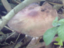 18012010062.jpg