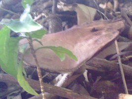18012010063.jpg