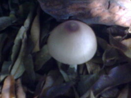 18012010064.jpg