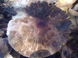 18012010066.jpg