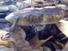 18012010067.jpg