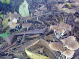 18012010070.jpg