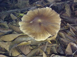 18012010075.jpg