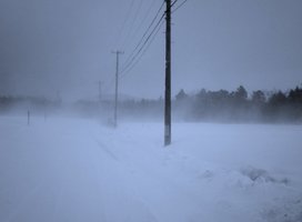 P2060002.jpg