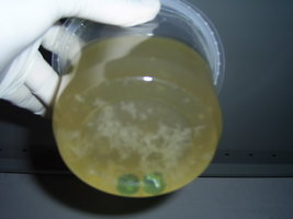 PIC_0026.JPG