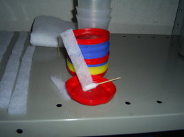 PIC_0004.JPG