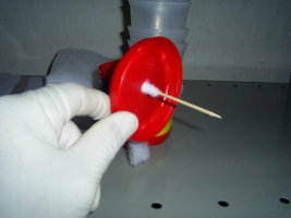 PIC_0006.JPG