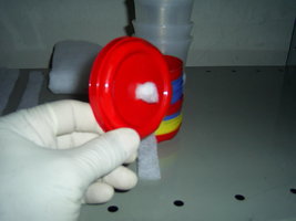 PIC_0007.JPG