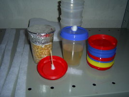 PIC_0008.JPG