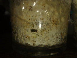 03032010392.jpg
