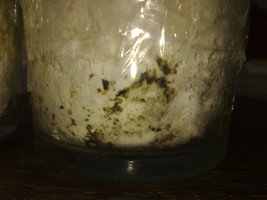 03032010394.jpg