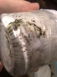 03032010395.jpg