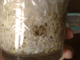 03032010396.jpg