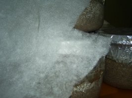 Imagem 0120.jpg