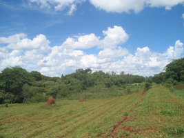Imagem 003.jpg