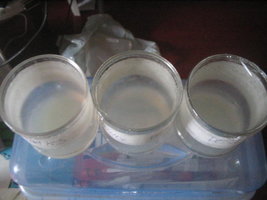 Agar 002.jpg