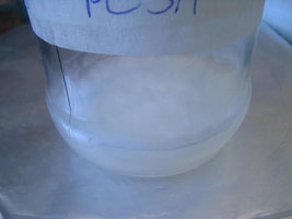 Agar PESa 009.jpg