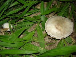 DSC05010.JPG