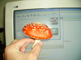 PICT0408.JPG