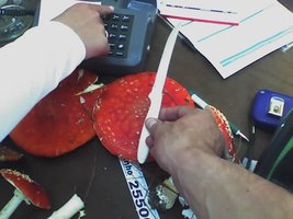 29-05-06_1312.jpg