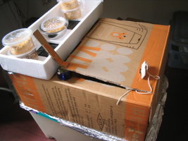 imagem 023.jpg