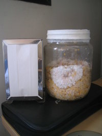 pesa pote grande 004.jpg