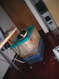 terrário 012.jpg