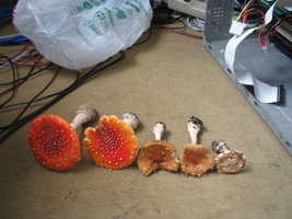 22.06.06 013.jpg