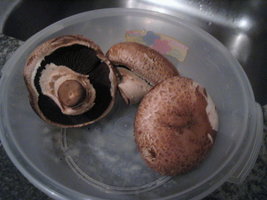 macarrão com cogumelos 001.jpg