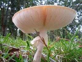 02.07.06 015.jpg