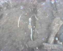 Picture69.jpg Picture69.jpg