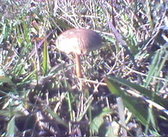 Picture77.jpg Picture77.jpg