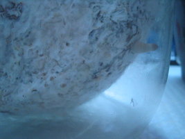 pesa pote grande 002.jpg