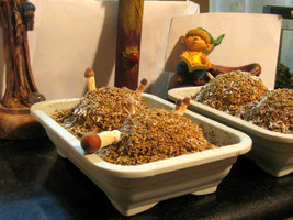 shrooms 04 - ok - low.jpg