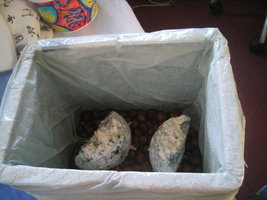 pesa frut potao 005.jpg