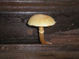 P1300007.JPG