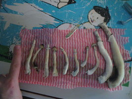 colheita e sec 1 fluxo potao 004.jpg