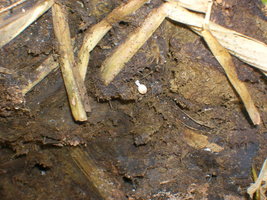 DSCN2101.JPG