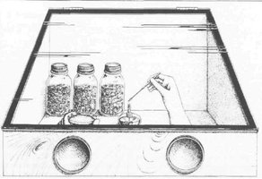 glovebox.JPG