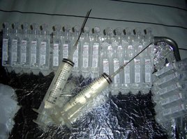 Imagem 0193.jpg