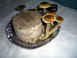 Imagem 0257.jpg
