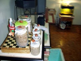 100_1488.jpg