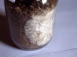 100_1529.jpg