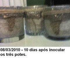 SP_A0241.jpg